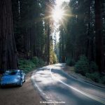 2003VolkswagenNewBeetleConvertible074