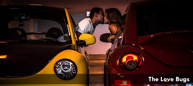 The Love Bugs