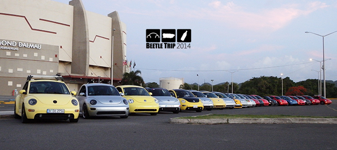 Beetle Trip 2014