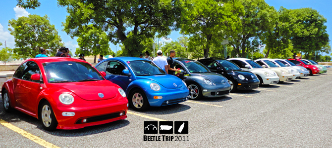 Beetle Trip 2011