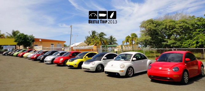 Beetle Trip 2013