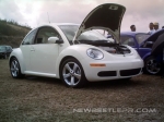 NewBeetle1