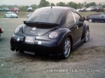 NewBeetle4