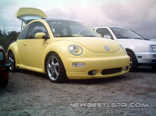 NewBeetle5