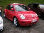 beetle 5