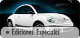 New Beetle Information